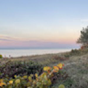 Meet your Posher, Maya